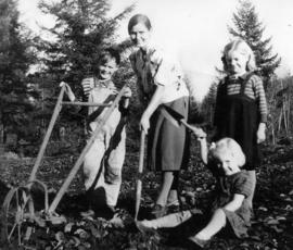 Anna with Len, Betty, and Esther cultivating berries on the Clayburn Road farm