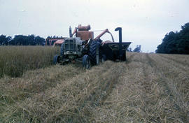 Tractor drawn combine-thresher in Guelph Township, Wellington County, Ontario