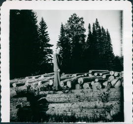 D. K. Schellenberg(?) with pile of logs