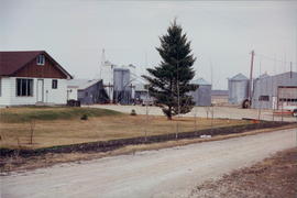 Pastor Glenn Plett's hog farm