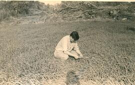 Minister Hernando  Bertoni auf einem Weizen-Versuchfeld