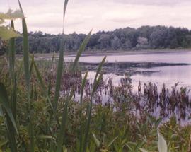Spongy Lake, Lot 10, North Snyder Rd. Wilmot Twp.