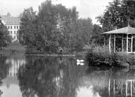 The swan-pond, Mittweida, Germany, taken during Rempel's apprenticeship