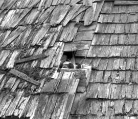 Roof of a log cabin ruins at Thompson River, British Columbia