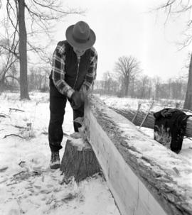Simeon Martin broadaxing a beam for the restoration of the Brubacher House