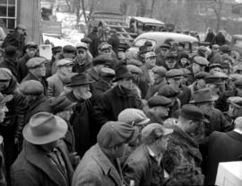 Pig sale at the Elmira Pig Fair, 1950