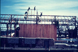 Barn raising crew installing centre rafters