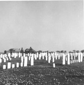 Old Order Mennonite Cemetery