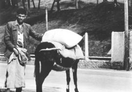 An Algerian beside a donkey
