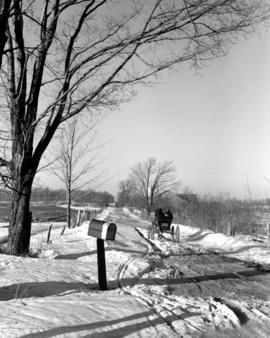 Snowy road with horse and buggy, near Noah Bowman's in Waterloo County, Ontario