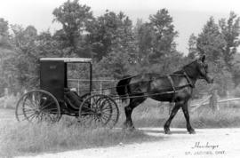 Old Order Menonite buggy and horse(PGFSO