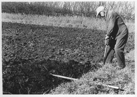Man digging in a field