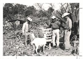 MCC Voluntary Service workers James Troyer and Roger Springer with a local farmer by a newly cons...