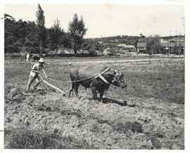 Dry Ploughing at the Mennonite Vocational School