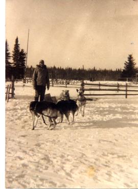 Man with dogs and sled