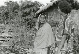 Gardening in Bangladesh
