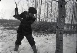 A man chopping down a tree