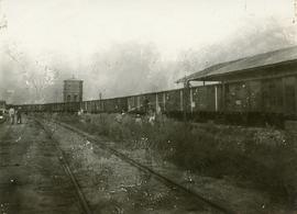 First Immigration Train, Chortitza