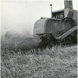 Grain fields / farming