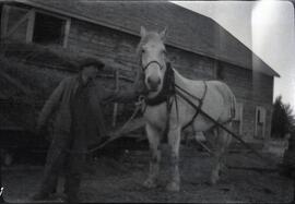 A man leading a horse