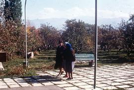 Two women walk in a park