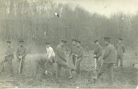 Mennonite men at work in the Alternative Forestry Service