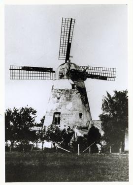 Windmill on farm yard