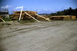 Piles of sawn lumber