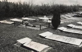Gravestones in the cemetery
