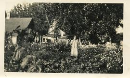 D. D. Paetkau's Garden