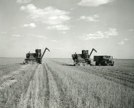 Harvesting on the Boesch Farm